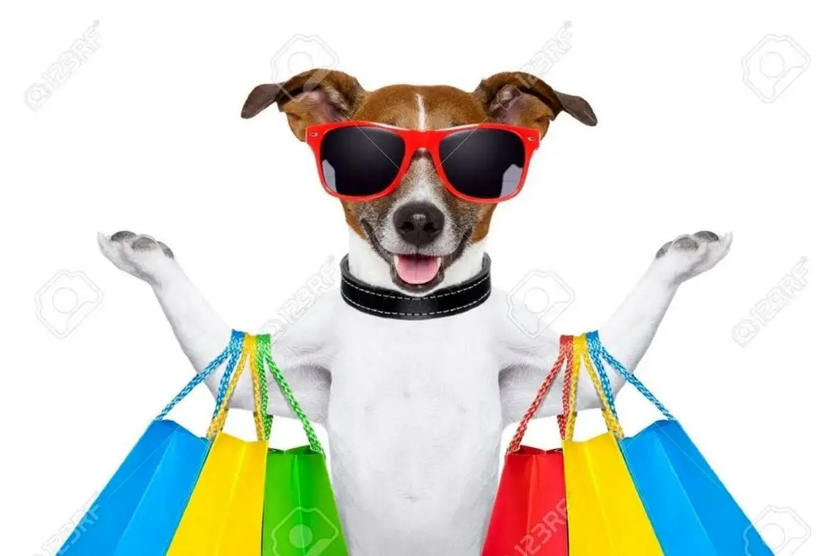 (ویدئو) این سگ برای خرید به بازار میرود!
