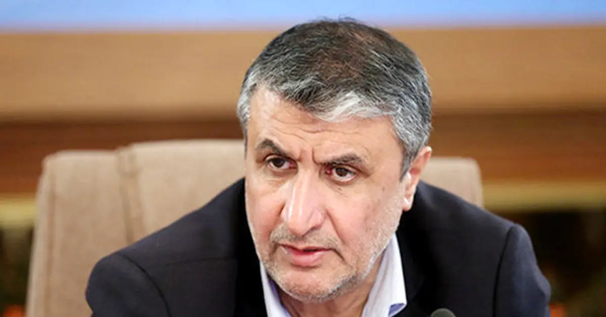 جزئیات نصب دوربین در سایت کرج از زبان رئیس سازمان انرژی اتمی