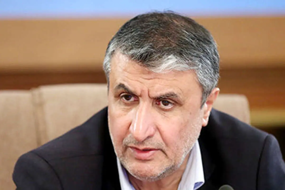 جزئیات نصب دوربین در سایت کرج از زبان رئیس سازمان انرژی اتمی