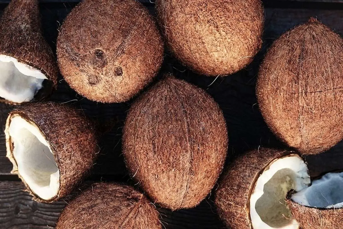 ماجرای نارگیلهای سمی در اصفهان چیست؟
