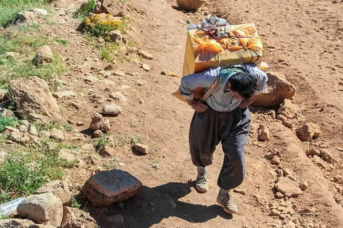 کولبری با مدرک دکترا