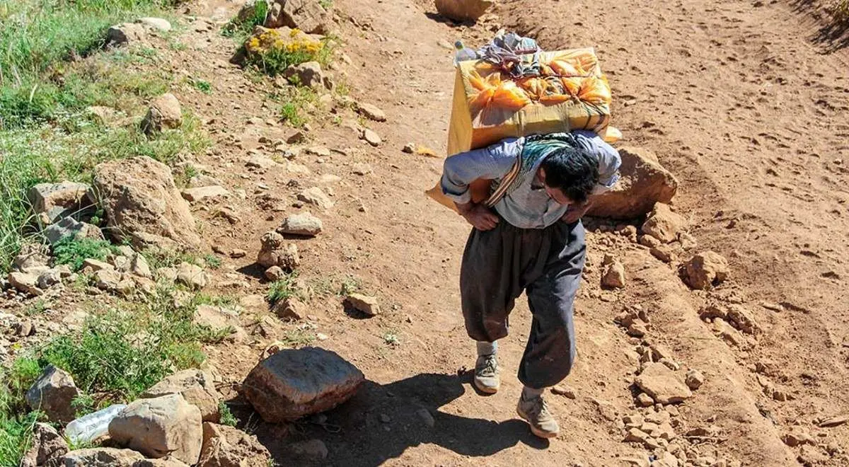 کولبری با مدرک دکترا