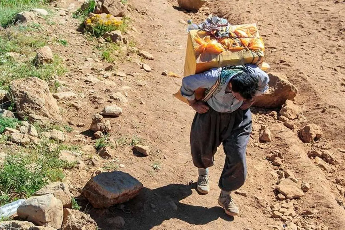 کولبری با مدرک دکترا