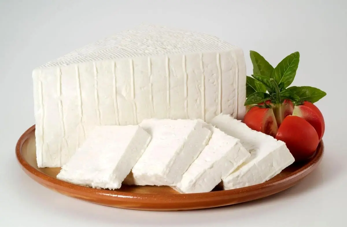 طرز تهیه پنیر در خانه