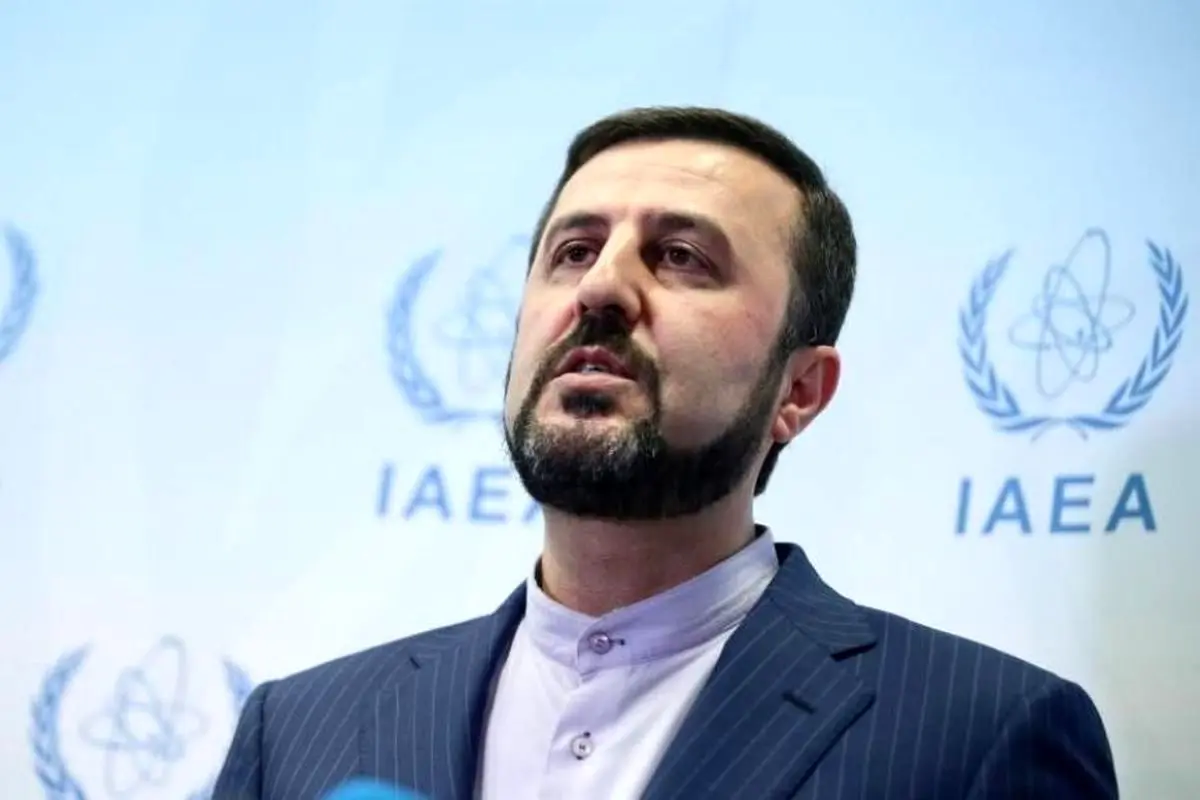 غریب آبادی: همه ایرانیان مقیم خارج می‌توانند به کشور بیایند