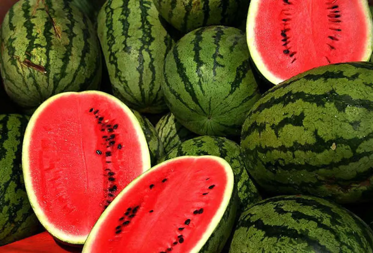 (ویدئو) انار و هندوانه شب یلدا چند؟