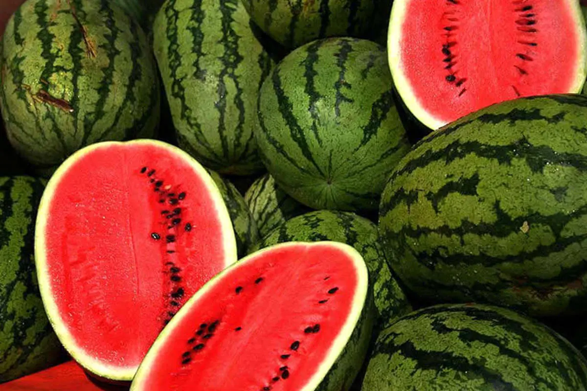 (ویدئو) انار و هندوانه شب یلدا چند؟