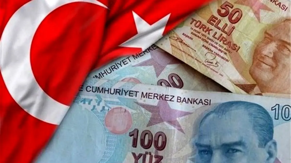 ۴۶ درصد ارزش پول ترکیه از دست رفت