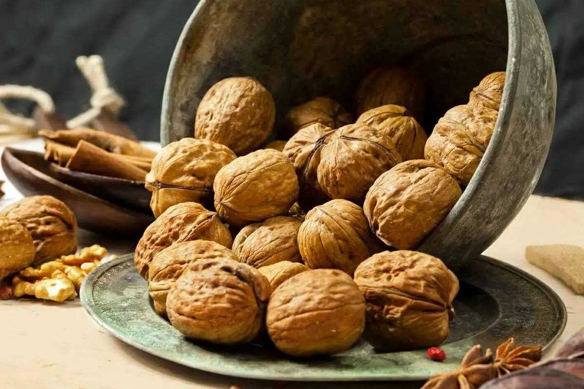 تاثیر شگفتانگیز این ۲ ماده غذایی مقوی در کاهش علائم آرتروز