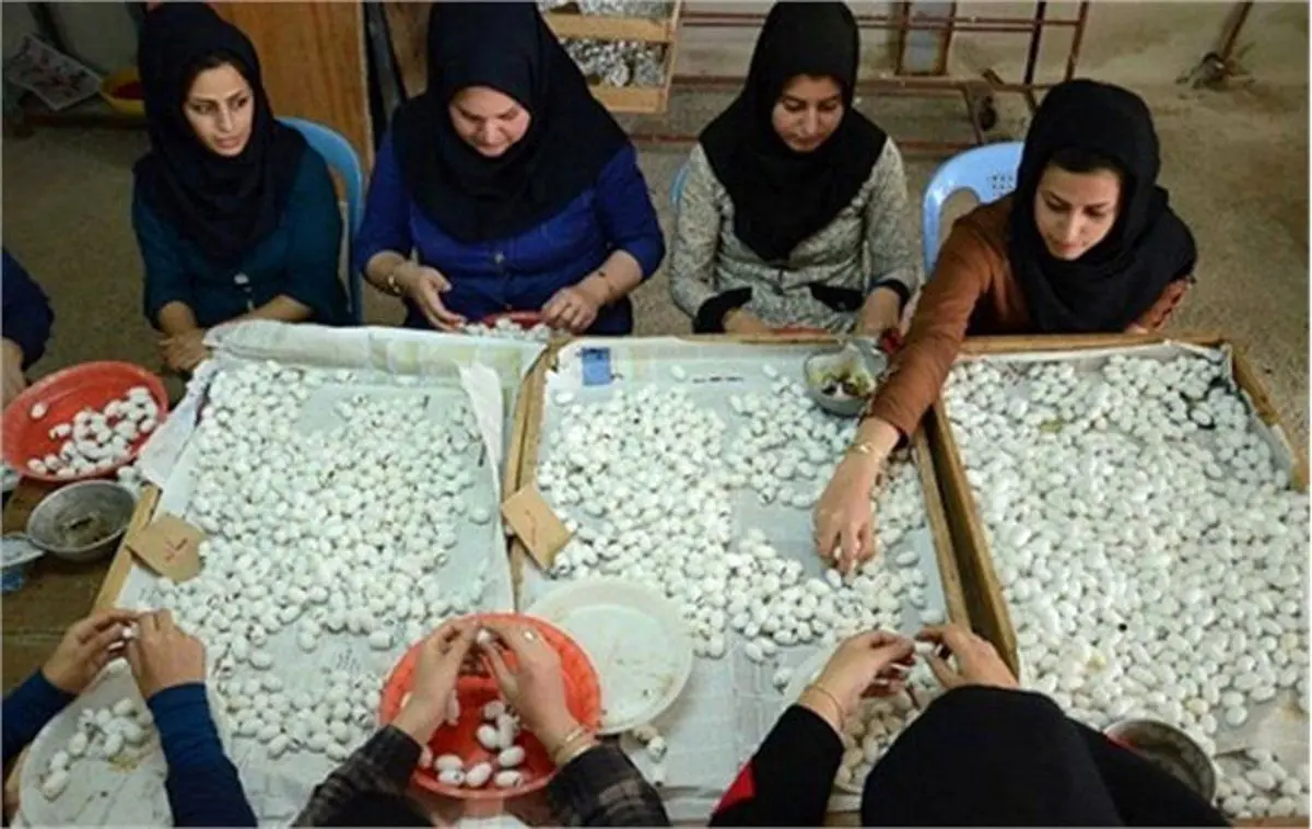 شغل‌های پردرآمد که تحصیلات عالیه نمی‌خواهد