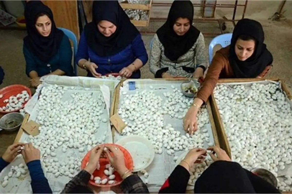 شغلهای پردرآمد که تحصیلات عالیه نمیخواهد