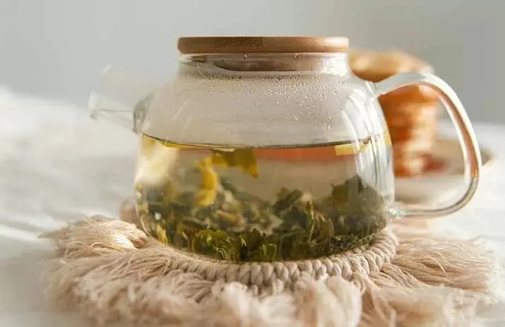 چای برگ انجیر؛ فواید و طرز تهیه آن