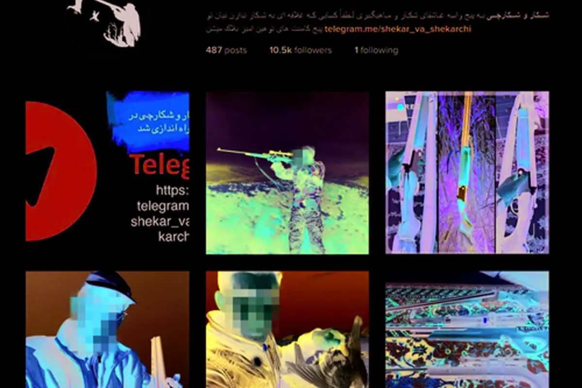 دورهمی مجازی شکارچیان در اینستاگرام
