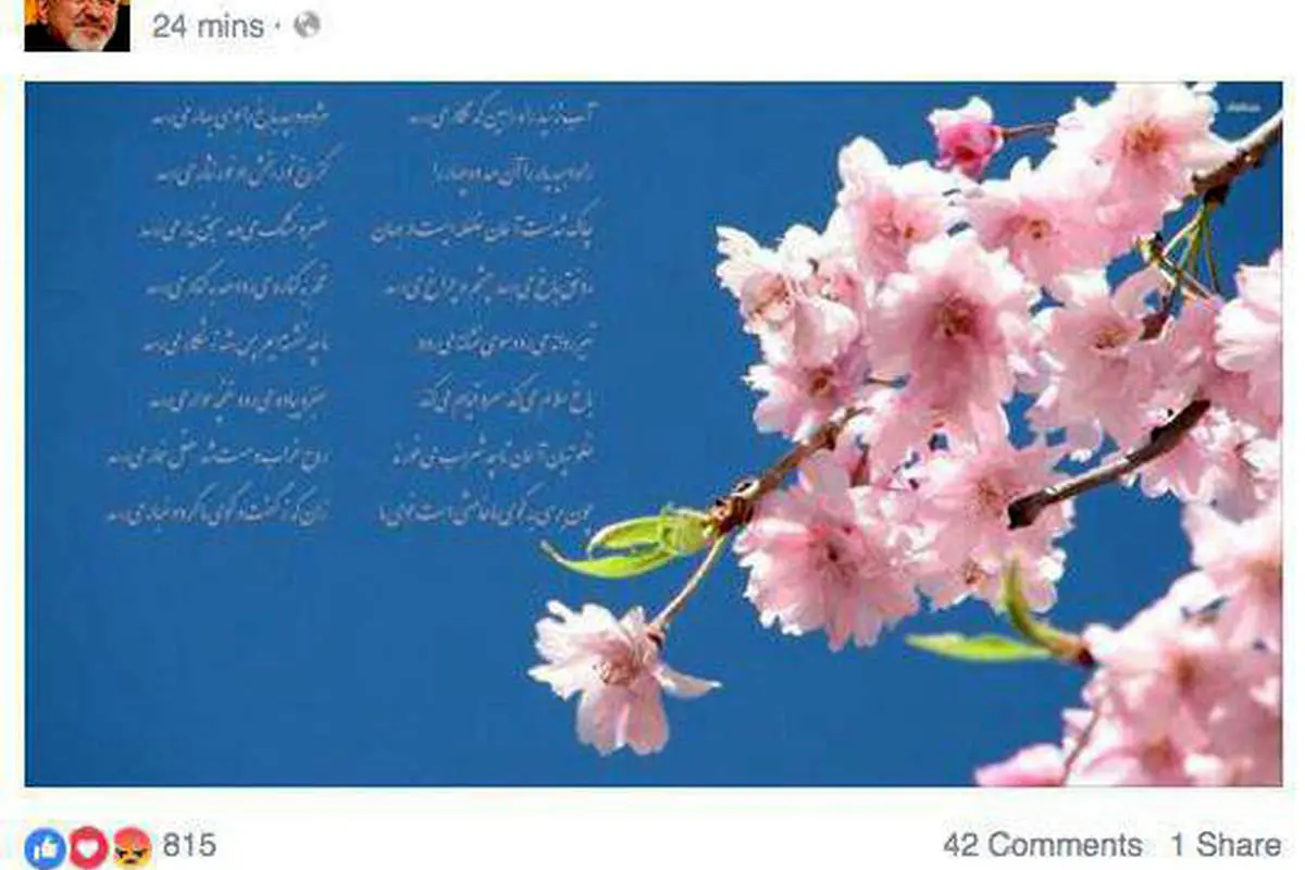 صفحه ظریف در فیس بوک بهاری شد