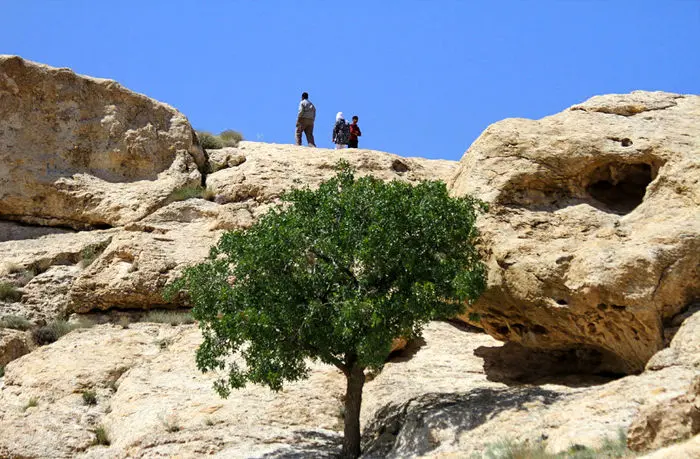 (تصاویر) زنجیره انسانی برای نجات یک تپه