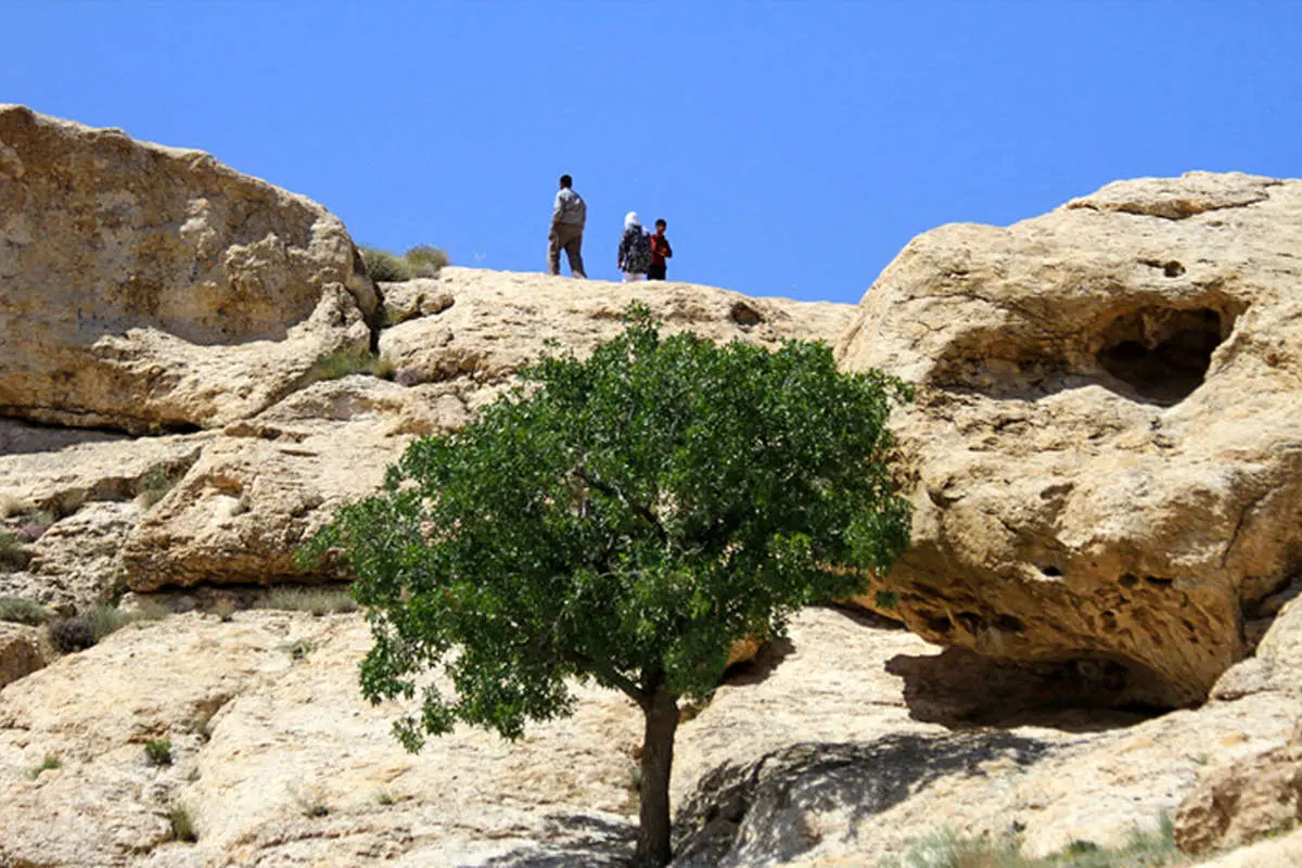 (تصاویر) زنجیره انسانی برای نجات یک تپه