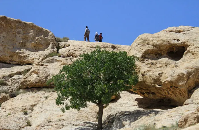 (تصاویر) زنجیره انسانی برای نجات یک تپه