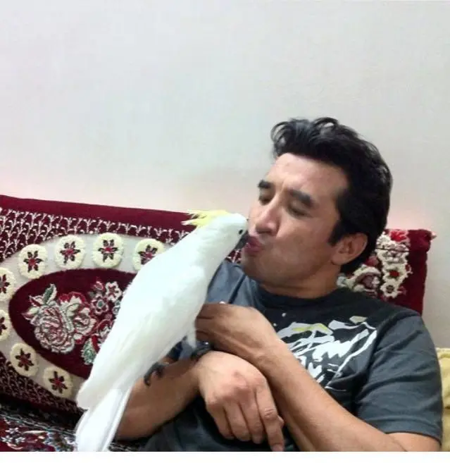 (تصویر) خداداد عزیزی و طوطی اش
