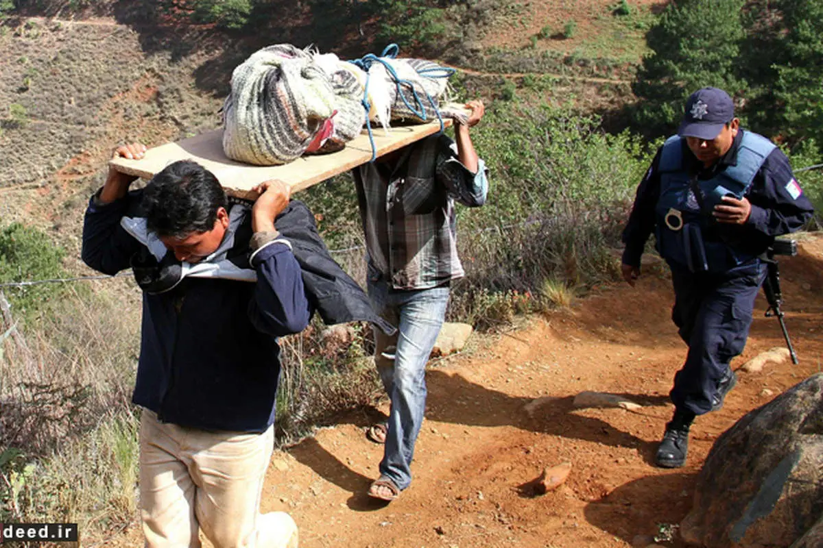 (تصاویر) کشتار خانوادگی در مکزیک