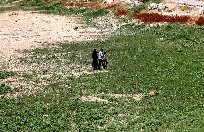 (تصاویر) زاینده رود سبز شد