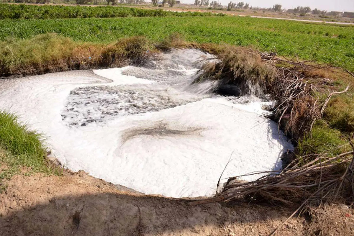 (تصاویر) آبیاری زمین با آب فاضلاب در سیستان