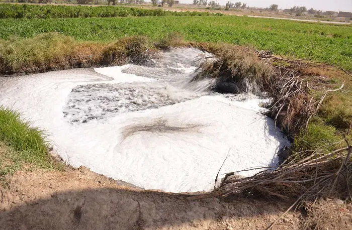 (تصاویر) آبیاری زمین با آب فاضلاب در سیستان