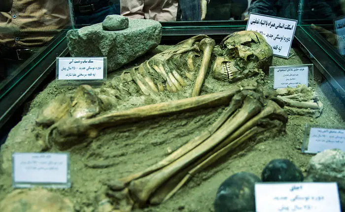 (تصاویر) رونمایی ازاسکلت۷۵۰۰ساله شازند