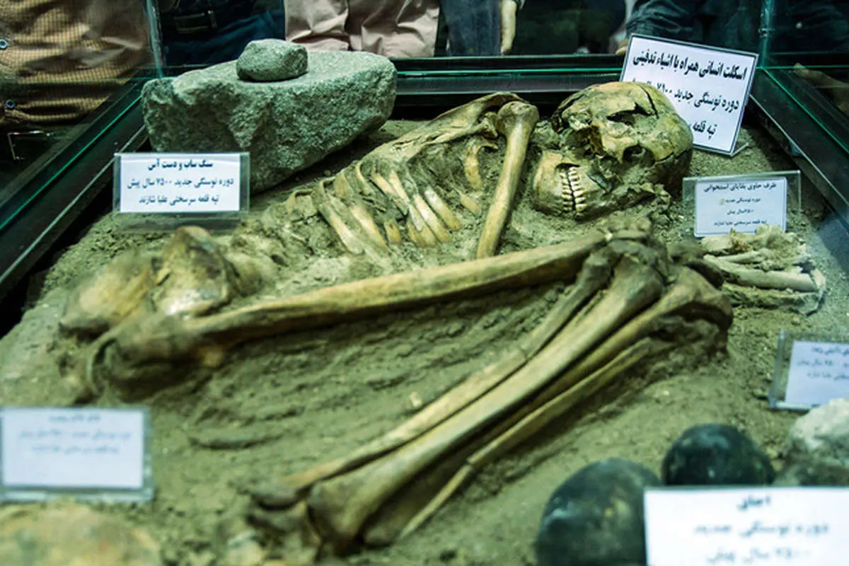 (تصاویر) رونمایی ازاسکلت۷۵۰۰ساله شازند
