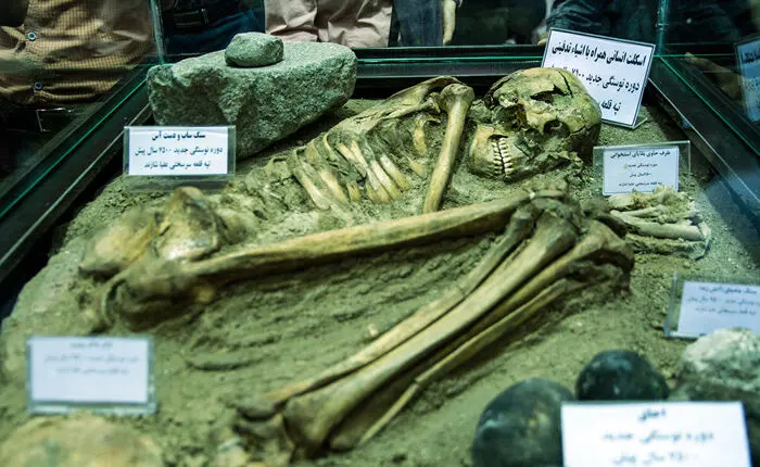 (تصاویر) رونمایی ازاسکلت۷۵۰۰ساله شازند