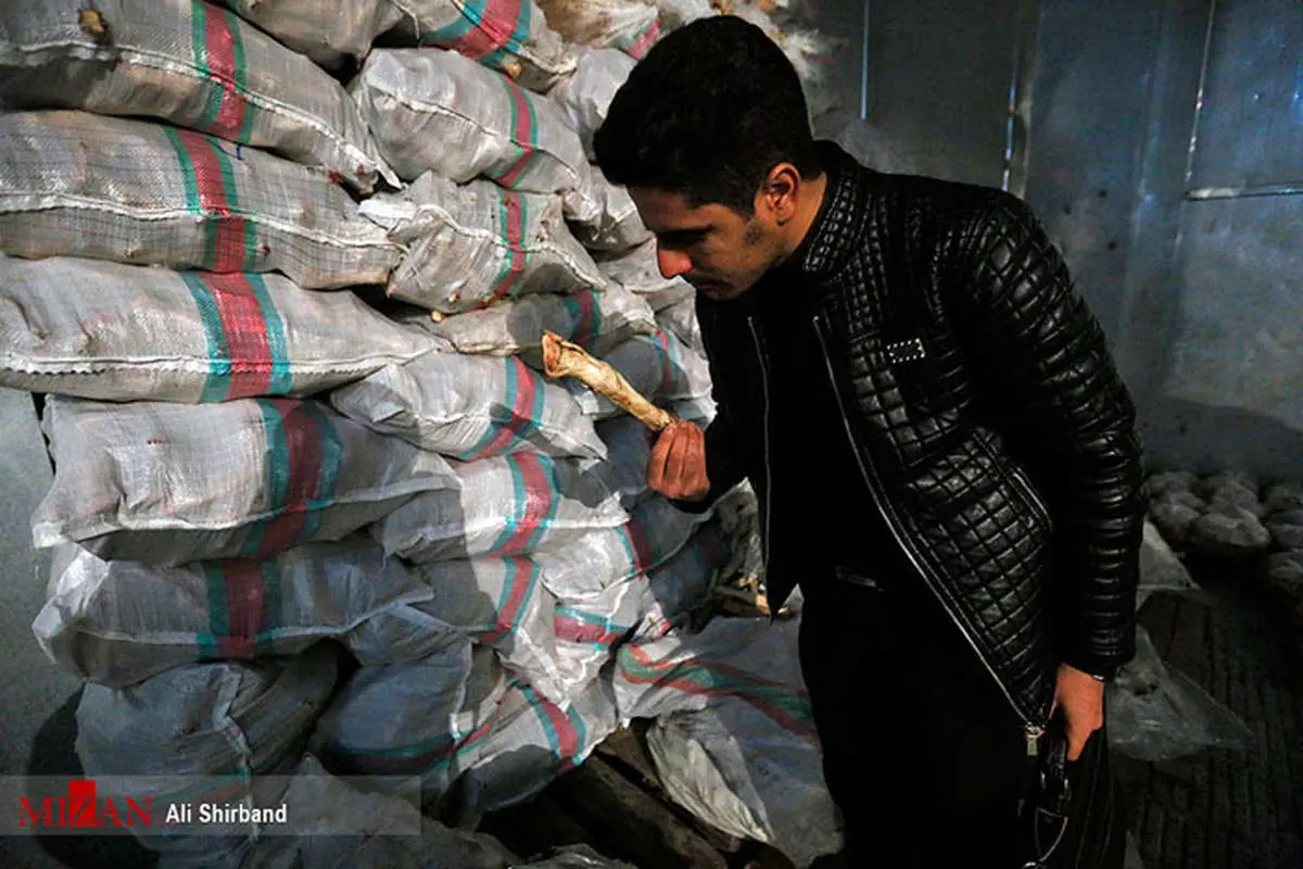 (تصاویر) کشف 10تن کله‌پاچه فاسد در تهران