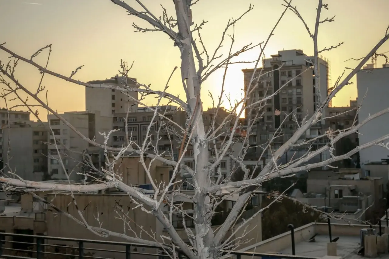 تصاویر؛ پاییز بی‌رنگ پایتخت