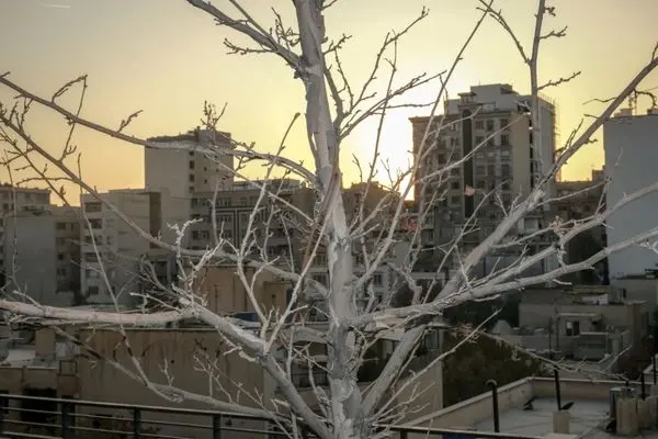 تصاویر؛ پاییز بی‌رنگ پایتخت