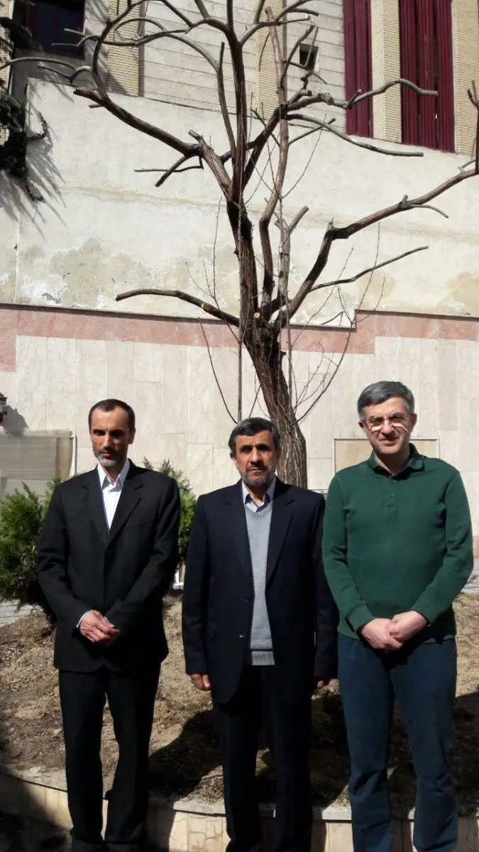 (تصاویر) کاشت نهال توسط احمدی‌نژاد، بقایی و مشایی