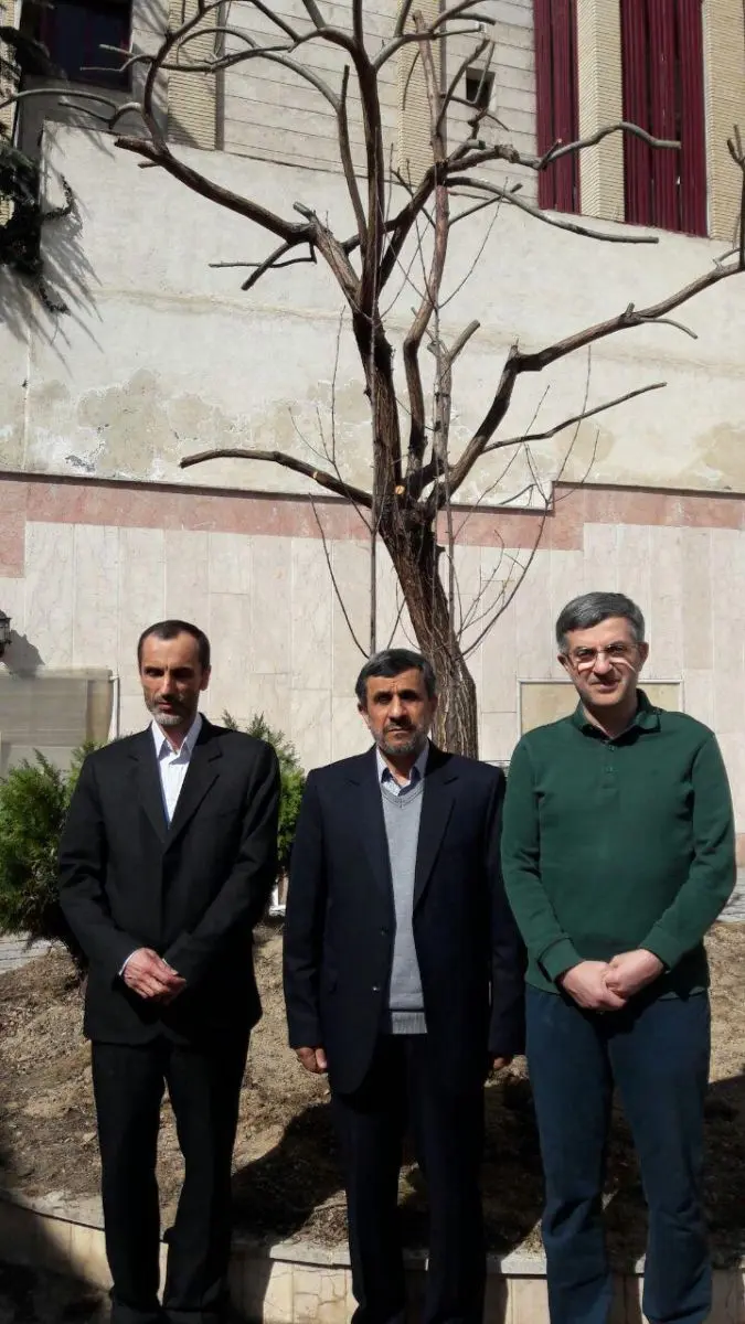 (تصاویر) کاشت نهال توسط احمدی‌نژاد، بقایی و مشایی