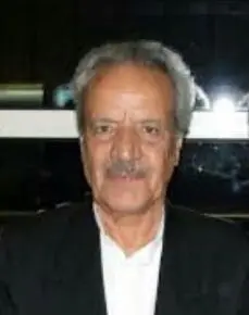 نوازنده پیشکسوت ویولن درگذشت