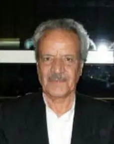 نوازنده پیشکسوت ویولن درگذشت