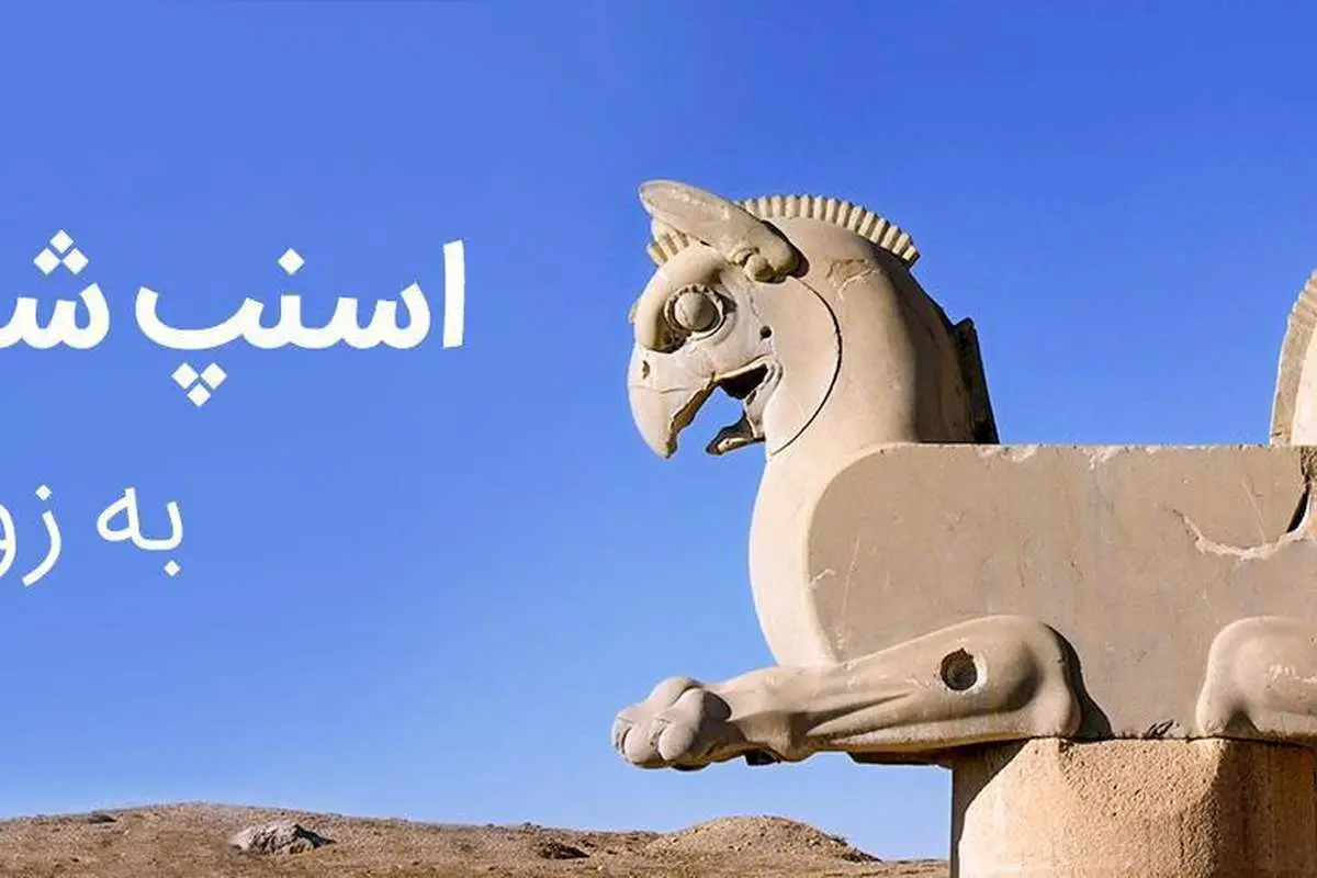 اسنپ به زودی در شیراز آغاز به فعالیت میکند