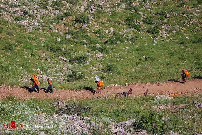 (تصاویر) کولبری، جدال نان و جان در هورامان