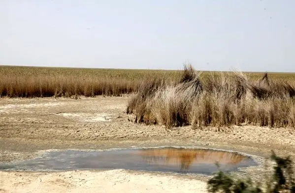 فاجعه در انتظار مردم‌ جنوب‌ و غرب‌ ایران