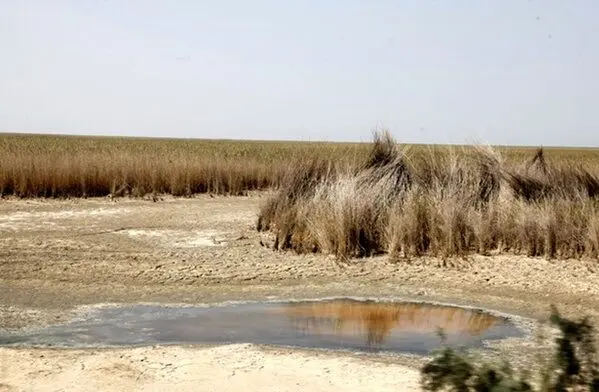 فاجعه در انتظار مردم‌ جنوب‌ و غرب‌ ایران