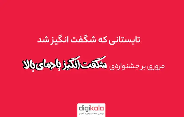 تابستانی که شگفت‌انگیز شد