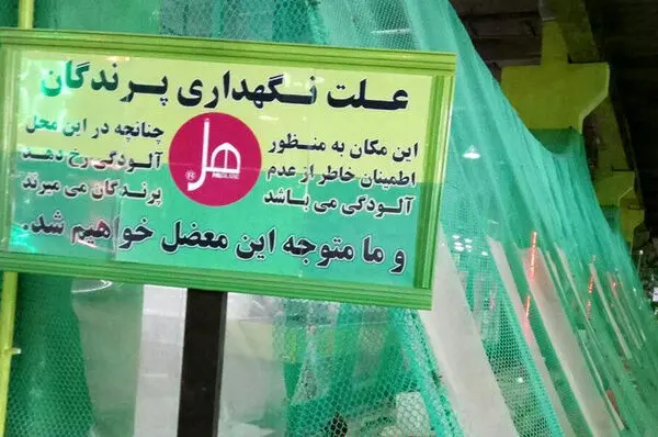 تفسیر یک تصویر جنجالی دیگر از کارخانه هل!