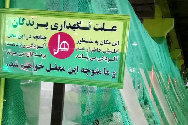 تفسیر یک تصویر جنجالی دیگر از کارخانه هل!