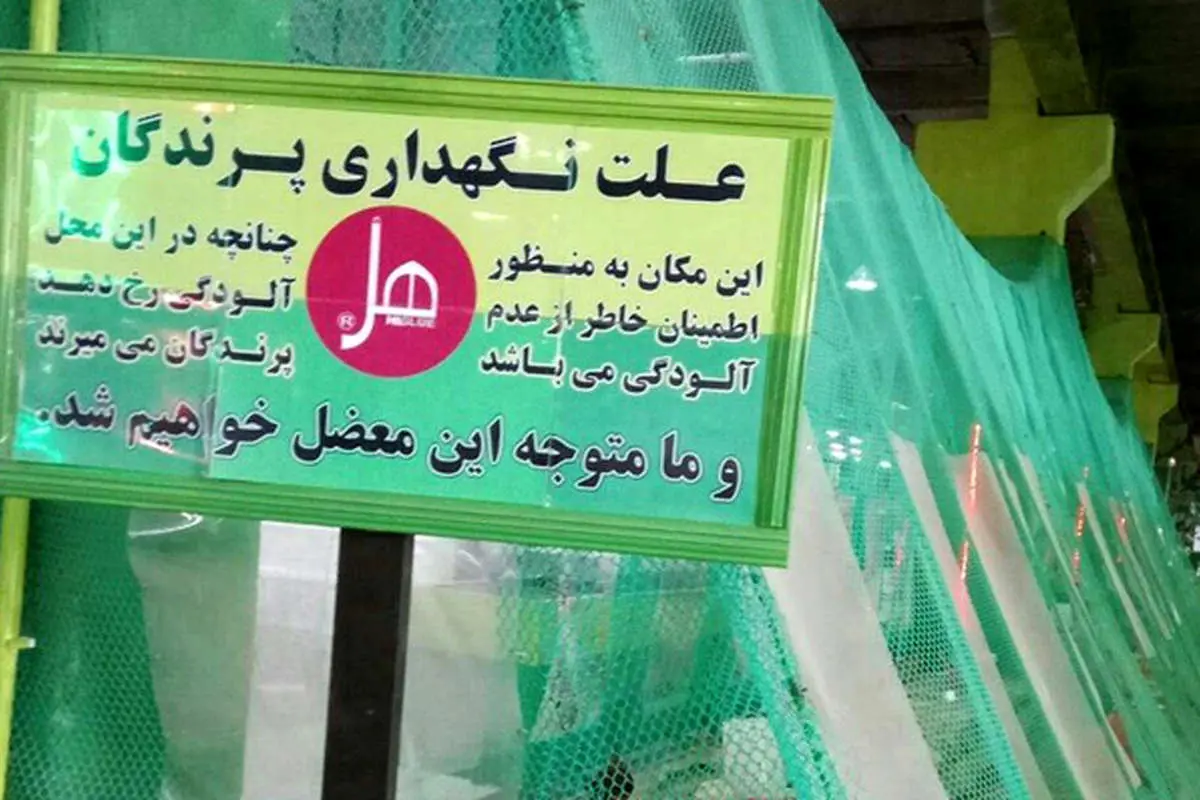 تفسیر یک تصویر جنجالی دیگر از کارخانه هل!