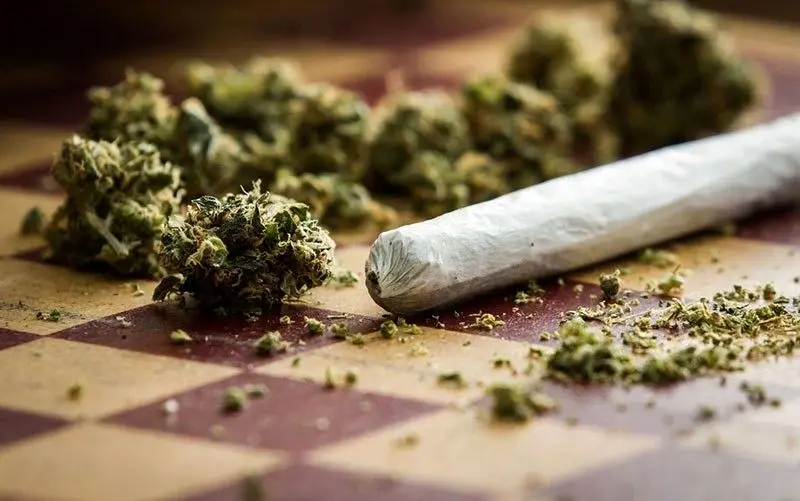 «گل» حتی از «حشیش» هم ویران‌کننده‌تر است
