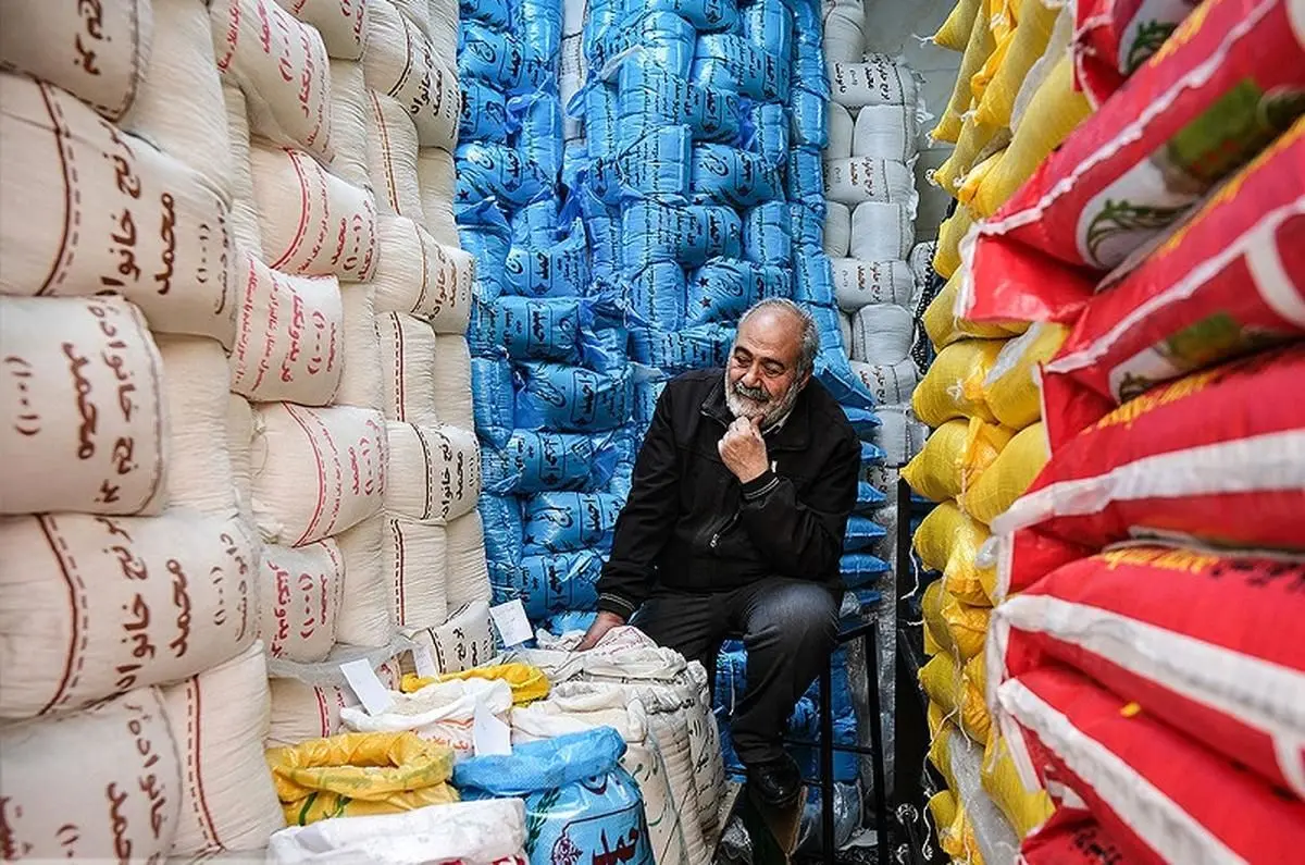 شوک به شالیکاران؛ لغو ممنوعیت واردات برنج در فصل برداشت