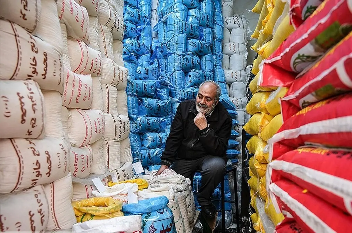 شوک به شالیکاران؛ لغو ممنوعیت واردات برنج در فصل برداشت