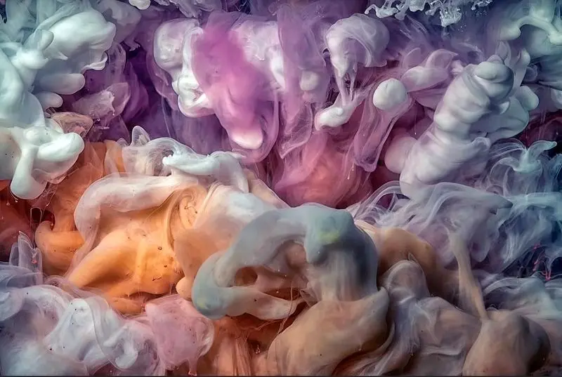 برنده بخش انتزاعی