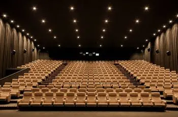 رایگان شدن سینما برای یک گروه خاص
