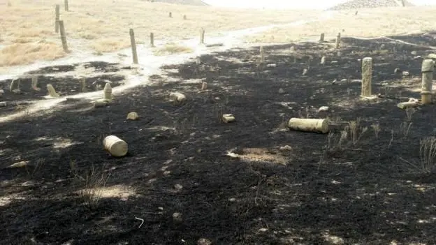 افراد ناشناس گورستان خالد نبی را آتش زدند